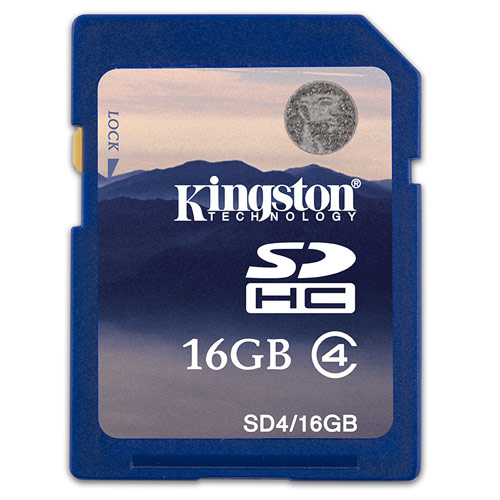 16 Go de Kingston Secure Digital Haute Capacité (SDHC) - Classe