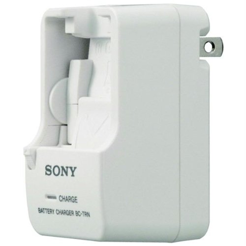 Sony BC-TRN cargador rápido de pilas para cámaras digitales de