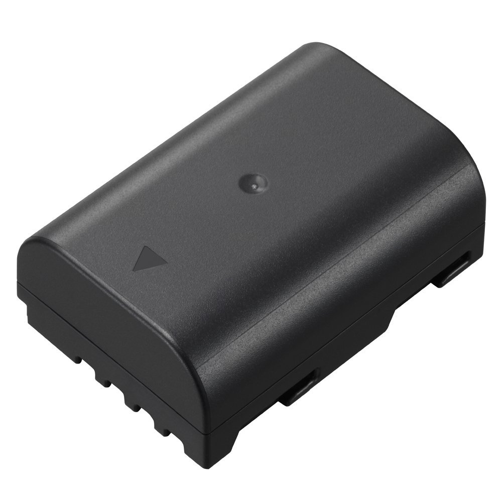 Pack de batterie au Lithium-Ion Panasonic DMW-BLF19 (noir)
